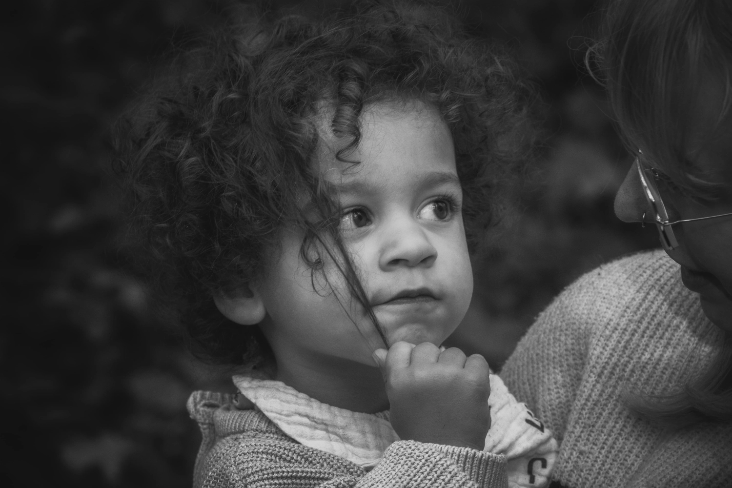 Hunde von GK Fotografie & Design