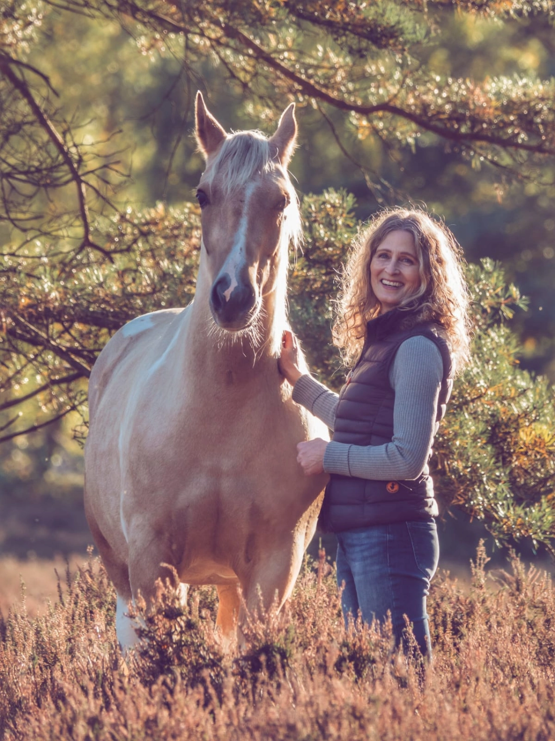 Pferde von GK Fotografie & Design